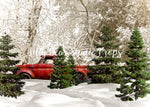Xmas Tree Pickup - Lilly Bear Studio Props, animals, autumn forest, dark forest, enchanted forest, Fabric, FABRICS, fall forest, forest, forest animals, forest entry, forest floor, forest friends, forest painting, fox, green forest, into the wild, lanterns, little wild one, misty forest, moon, moonlight, moonlight forest, night forest, nighttime, owl, pine forest, pine tree, pine tree forest, pine trees, raccoon, where the wild things are, wild, wild animal, wild one, wild things, woodland forest