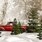 Xmas Tree Pickup - Lilly Bear Studio Props, animals, autumn forest, dark forest, enchanted forest, Fabric, FABRICS, fall forest, forest, forest animals, forest entry, forest floor, forest friends, forest painting, fox, green forest, into the wild, lanterns, little wild one, misty forest, moon, moonlight, moonlight forest, night forest, nighttime, owl, pine forest, pine tree, pine tree forest, pine trees, raccoon, where the wild things are, wild, wild animal, wild one, wild things, woodland forest